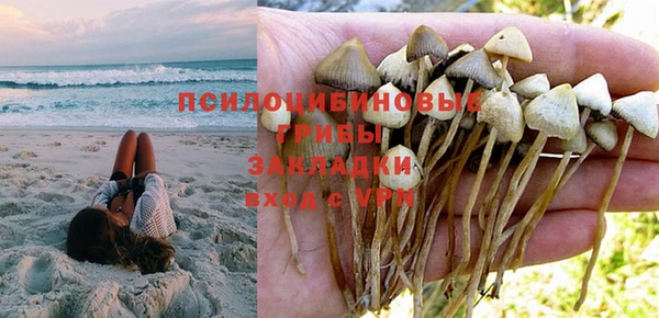 дмт Михайлов